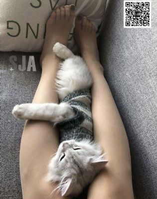 我的美丽女邻居hd