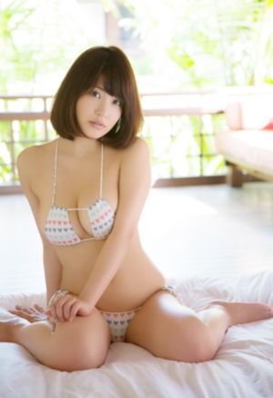 海鸥