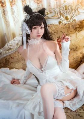 含羞草视频